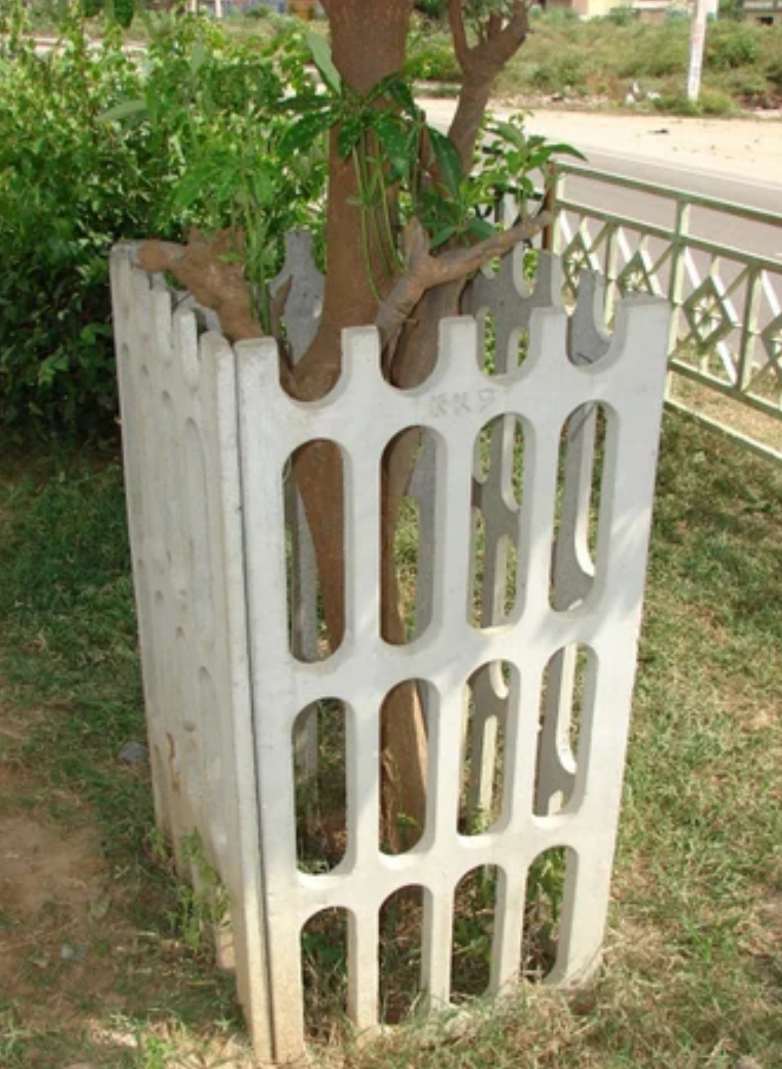 Gallery Image 8